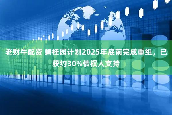老财牛配资 碧桂园计划2025年底前完成重组，已获约30%债权人支持