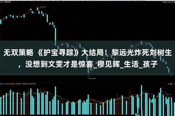 无双策略 《护宝寻踪》大结局！黎远光炸死刘树生，没想到文雯才是惊喜_穆见晖_生活_孩子