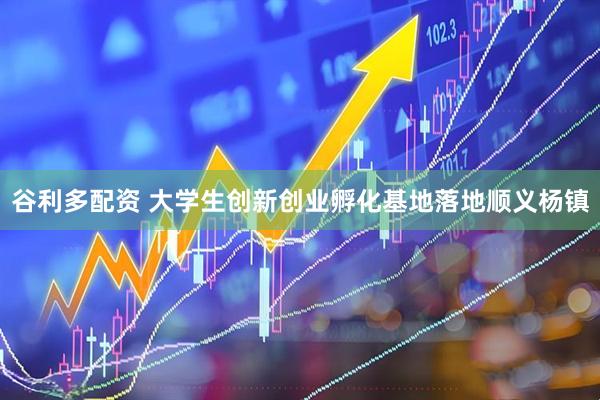 谷利多配资 大学生创新创业孵化基地落地顺义杨镇