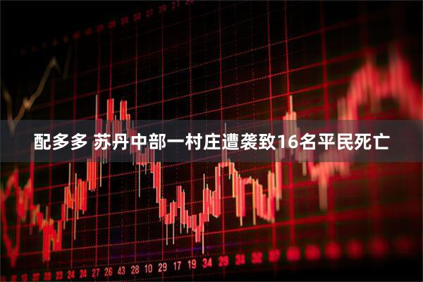 配多多 苏丹中部一村庄遭袭致16名平民死亡