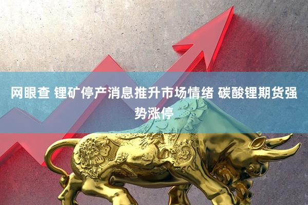 网眼查 锂矿停产消息推升市场情绪 碳酸锂期货强势涨停