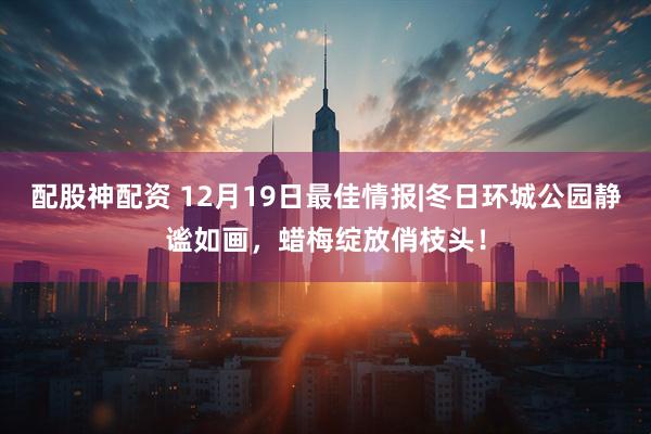 配股神配资 12月19日最佳情报|冬日环城公园静谧如画，蜡梅绽放俏枝头！