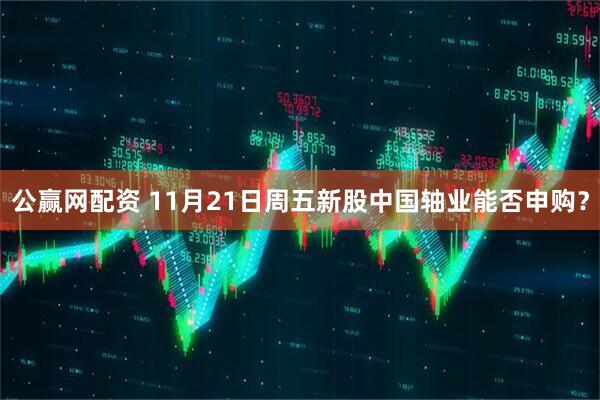 公赢网配资 11月21日周五新股中国轴业能否申购？