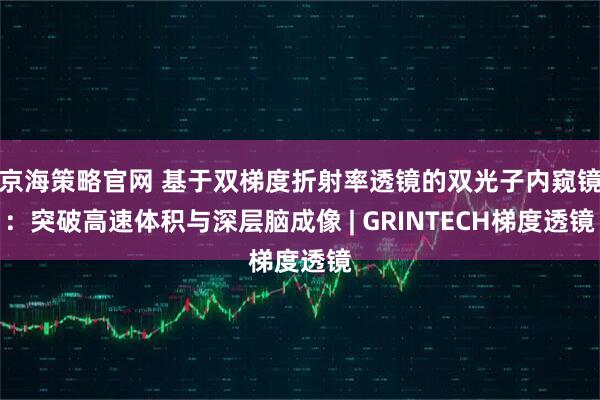 京海策略官网 基于双梯度折射率透镜的双光子内窥镜：突破高速体积与深层脑成像 | GRINTECH梯度透镜